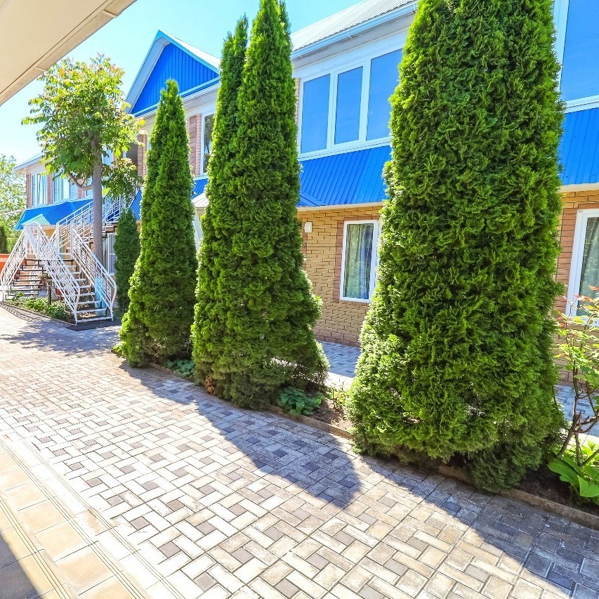 кучугуры отдых